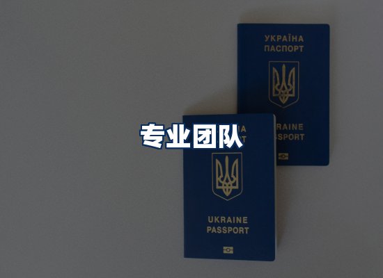 专业团队